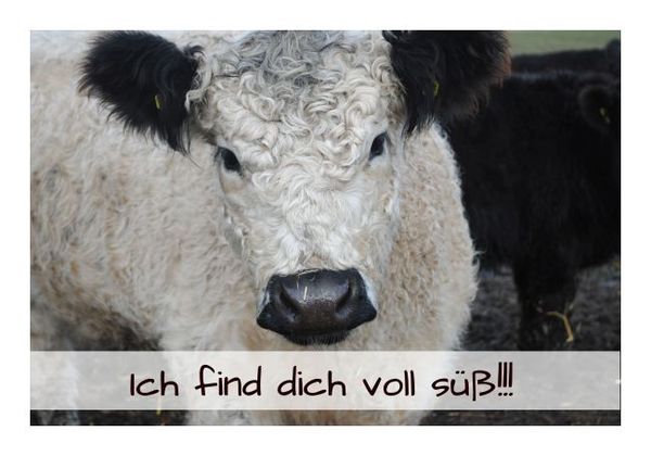 Liebeskarten "Ich find Dich voll süß" KLAPPKARTE & KUVERT