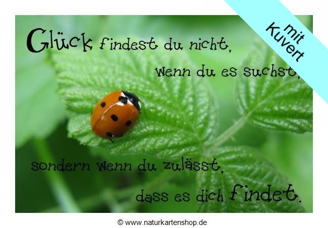 Karten mit Sprüchen "Das Glück findet Dich" KLAPPKARTE & KUVERT