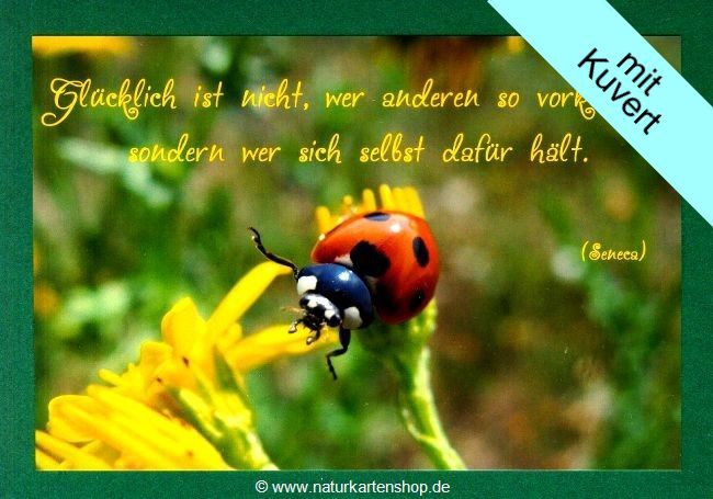 Sprüchekarten "Glücklich sein" KLAPPKARTE & KUVERT Naturzauber