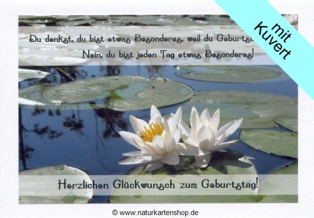 geburtstagskarten naturzauber grußkartenshop