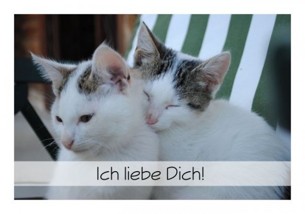 Grußkarten Liebe "Ich liebe Dich"