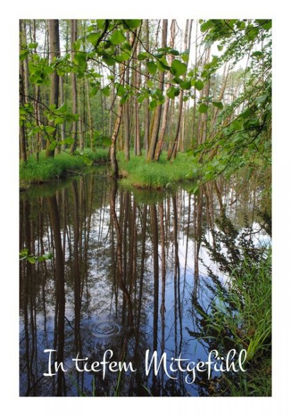 Stilvolle Trauerkarten "In tiefem Mitgefühl"