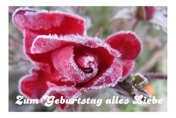 Ausgefallene Geburtstagskarten "Alles Liebe"