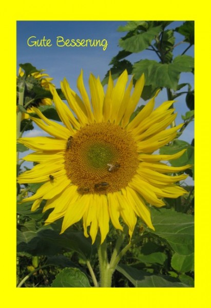 Genesungskarten "Sonnenblume"