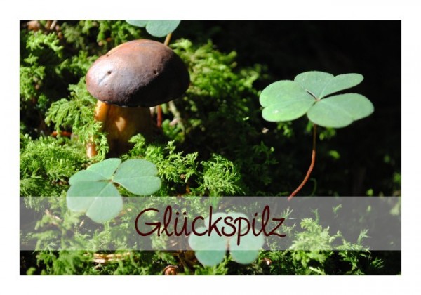 Viel-Glück-Karte "Glückspilz"