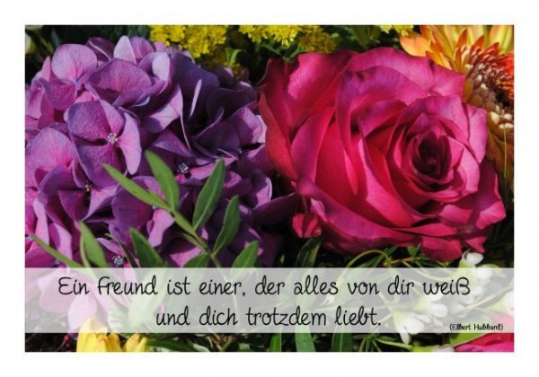 Freundeskarten "Ein echter Freund"