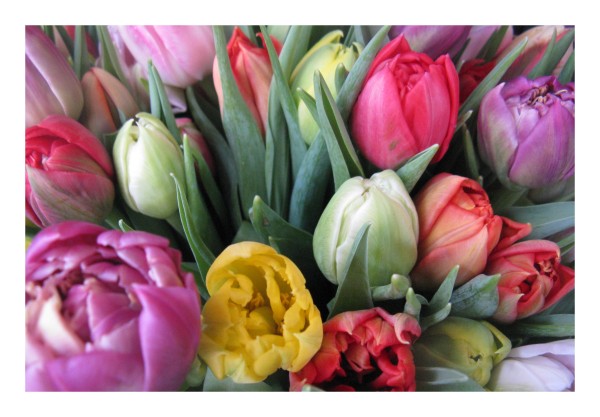 Blumenkarte "Tulpenstrauß-1"