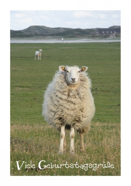 Witzige Geburtstagskarten "Schaf"