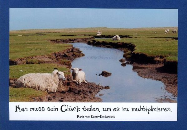 Karten mit Sprüchen "Das Glück teilen" - KLAPPKARTE & KUVERT