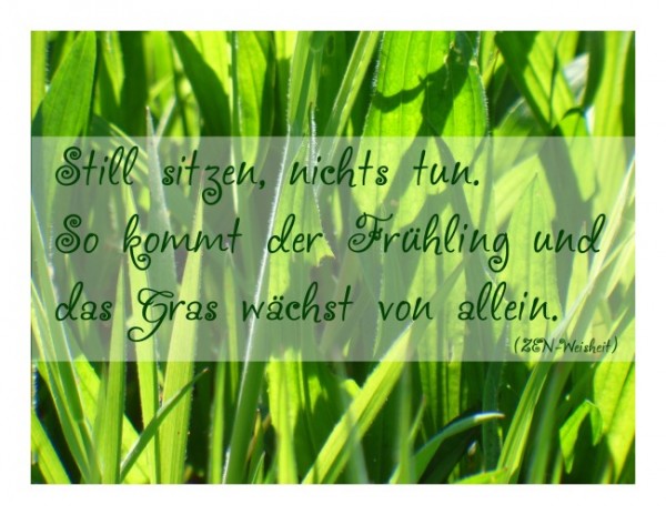 Sprüchekarten "Gelassenheit"