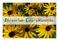 Geburtstagsgrüße "Sonnenhut" Geburtstagsgrüße "Sonnenhut"