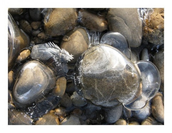 Winterkarte "Eisfeder"