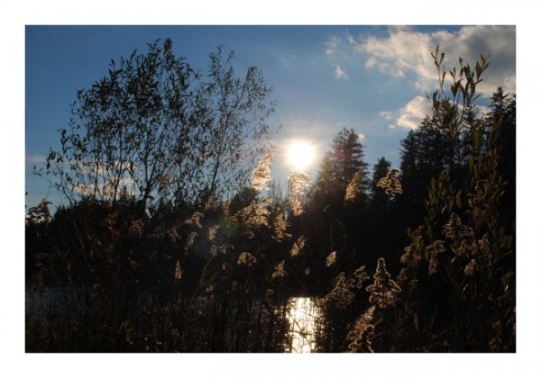 Romantische Karten "Lichtnatur"