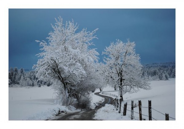 Winter-Karten "Schneewelt"