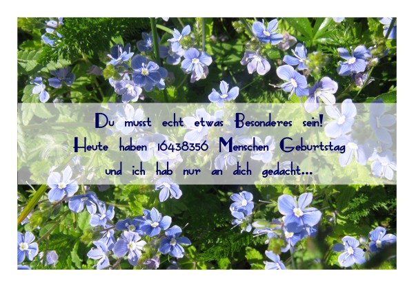 Geburtstagskarte "Ehrenpreis"