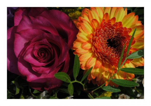 Blumenkarten "Blütenpaar"