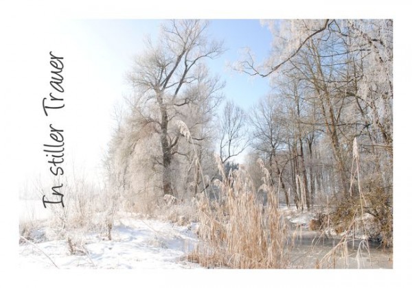 Stilvolle Trauerkarten "Schneelicht"