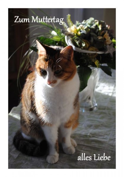 Muttertagskarten "Katze"