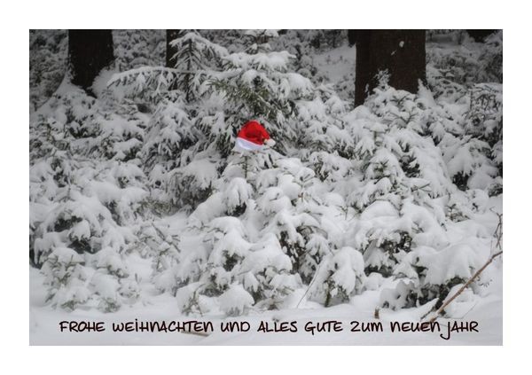 Neujahrskarte "Nikolausmütze 2"