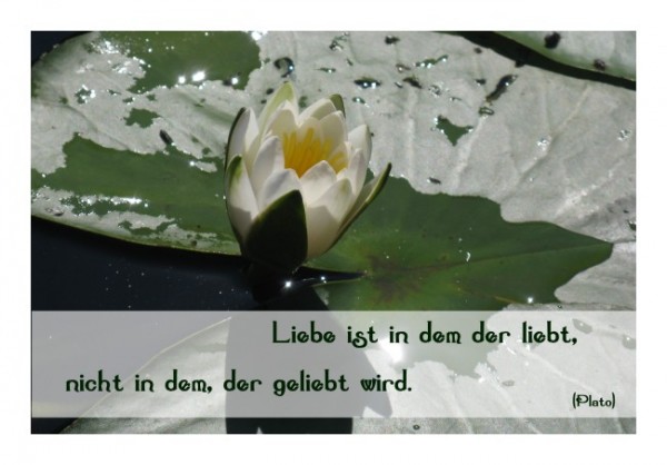 Spruchkarten "Liebe zählt"