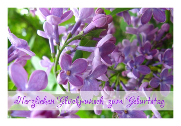 Geburtstagskarte "Flieder"