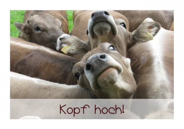 Trostkarten "Kopf hoch"