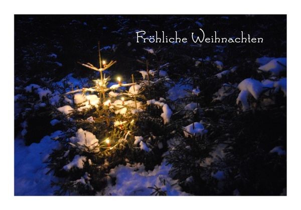 Weihnachtsglückwünsche "Weihnachtswald"