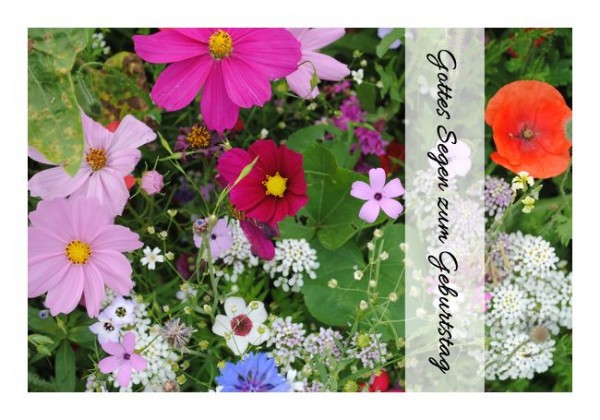 Christliche Geburtstagskarten "Bunte Blumen"