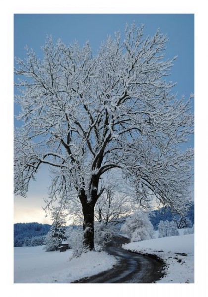 Winterkarten "Schneestimmung 3"