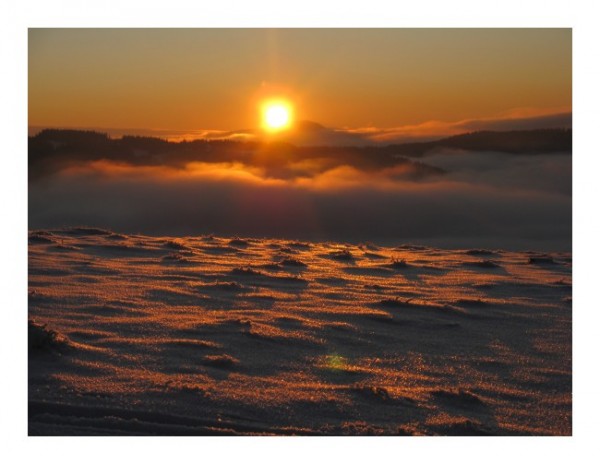 Winter-Karten "Schneeland"