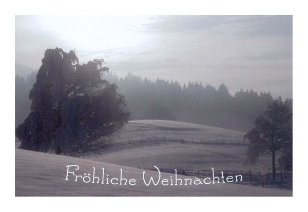 Weihnachtskarte "Winterwelt"
