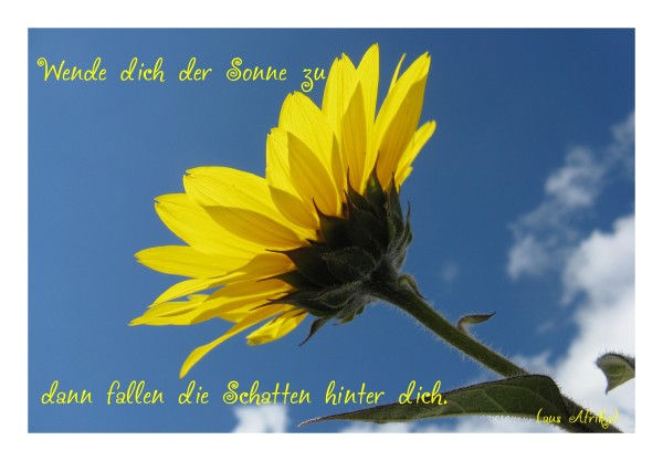 Sprüchekarte "Optimismus"