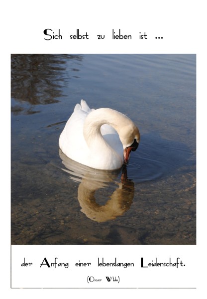 Sprüchekarte "Selbstliebe"