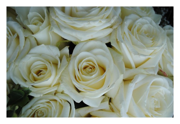 Trauerkarte "Rosenstrauß"