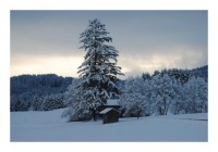 Winterkarten "Schneelandschaft" Winterkarten "Schneelandschaft"