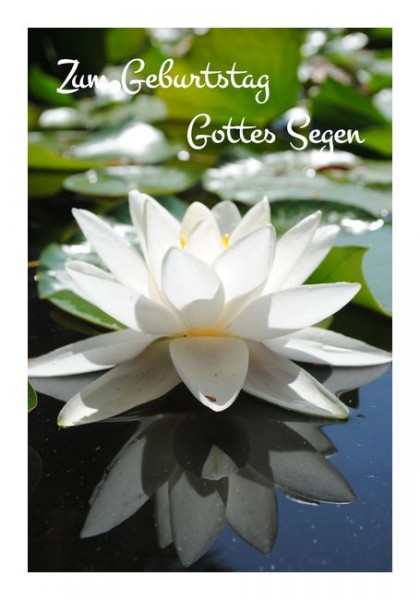 Christliche Geburtstagskarten "Seerose"