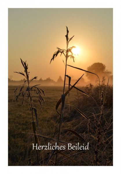 Trauerkarte "Sonnenfeld"