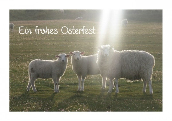 Osterkarten "Osterfest"
