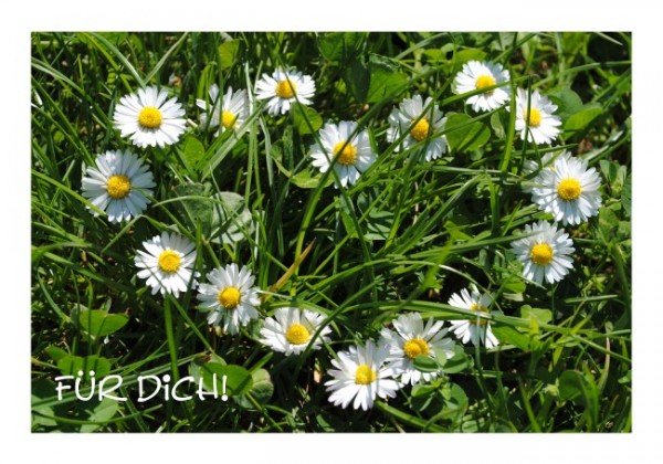 Liebeskarten "Für Dich"