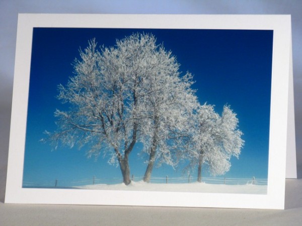 Schneekarte "Winterbaum-1"