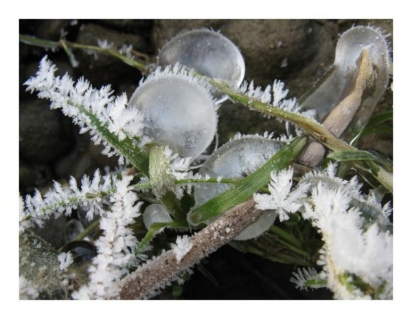 Winterkarte "Eisblasen"