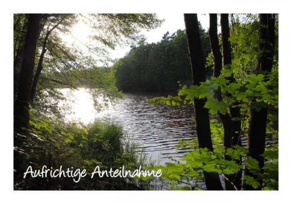 Trauerbekundung "Aufrichtige Anteilnahme"