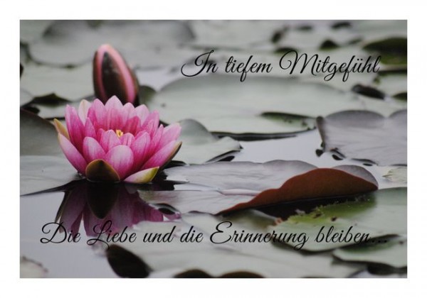 Beileidsbekundung "Liebe und Erinnerung"
