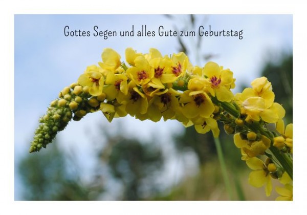 Christliche Geburtstagskarten "Geburtstagssegen"