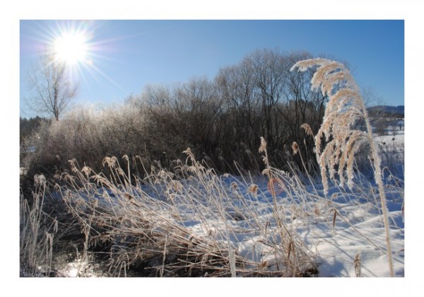 Winter-Karten "Sonnenstrahlen"