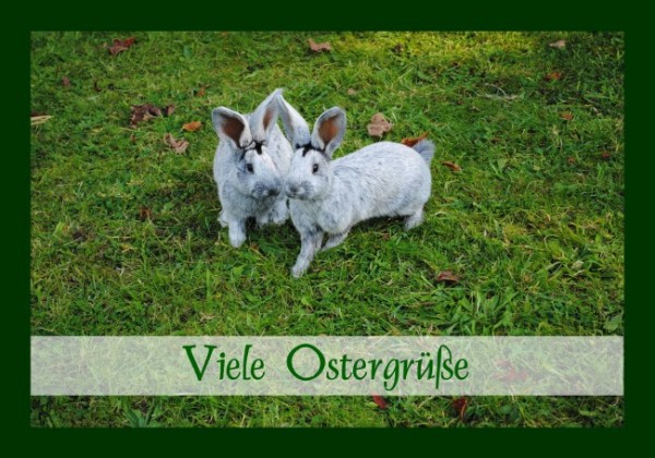 Osterkarten "Ostergrüße"