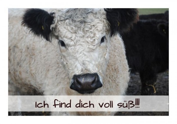 Liebeskarten "Ich find Dich voll süß"