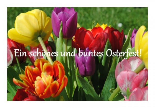Ostern Karten "Osterblumen"