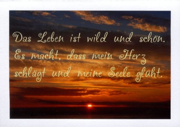 Sprüche Postkarten "Lebendigkeit"
