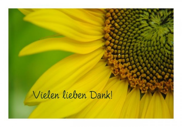Danksagungskarten "Vielen lieben Dank"